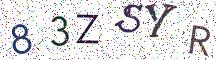 83ZSYR