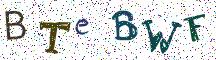 BTeBWF