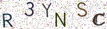 R3YNSC
