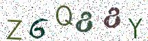 Z6Q88Y