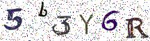 5b3Y6R