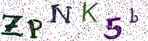 ZPNK5b