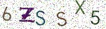 6ZSSX5
