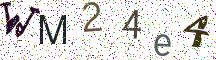WM24e4