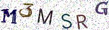 M3MSRG