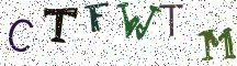 CTFWTM