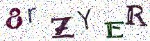 8rZYER