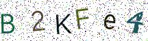 B2KFe4