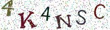 4K4NSC