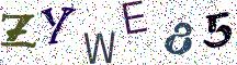 ZYWE85