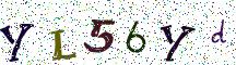 YL56Yd