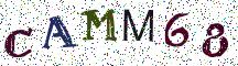 CAMM68