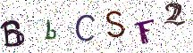 BbCSF2