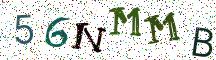 56NMMB
