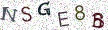 NSGE8B