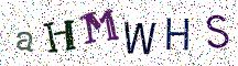 aHMWHS