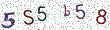 5S5b58