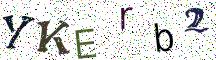 YKErb2