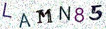 LAMN85