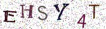 EHSY4T