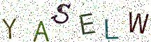YASELW