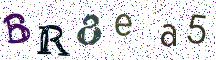 BR8ea5