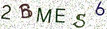 2BMES6