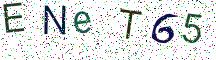 ENeT65