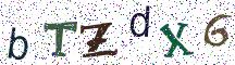 bTZdX6