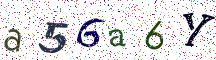 a56a6Y