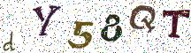 dY58QT