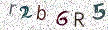 r2b6R5