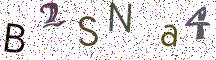 B2SNa4
