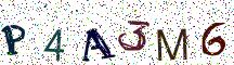 P4A3M6
