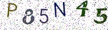 P85N45