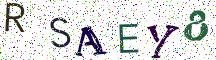 RSAEY8