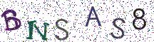 BNSAS8