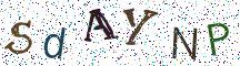 SdAYNP