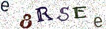 e8RSEe