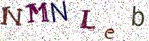 NMNLeb