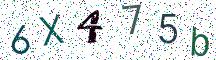6X475b