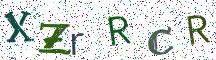 XZrRCR
