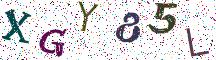 XGY85L