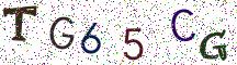 TG65CG