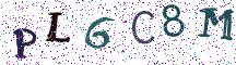 PL6C8M
