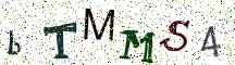 bTMMS4