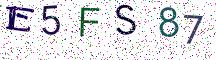 E5FS87