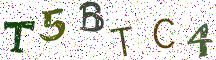 T5BTC4