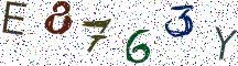E8763Y