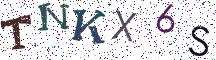 TNKX6S